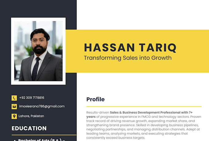 do professional CV design or resume design